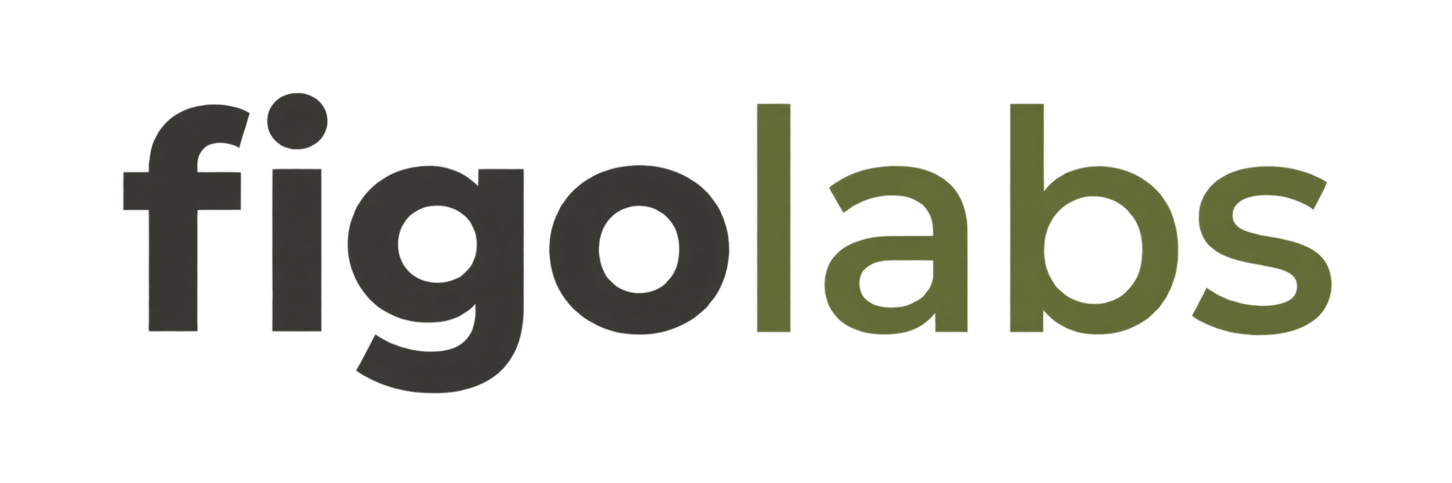 Figo Labs Logo
